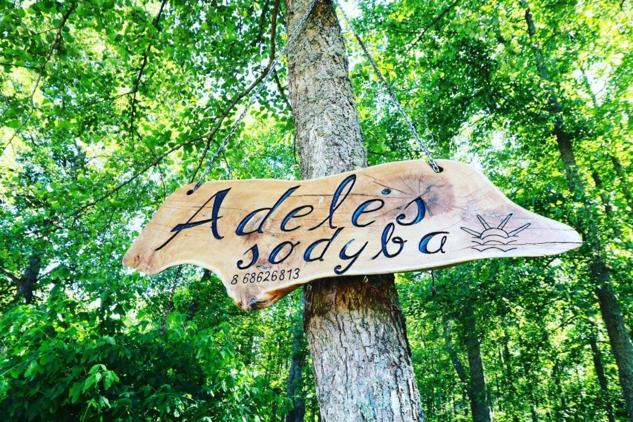Namelis Nr 1 Adeles Sodyba Sturmai ภายนอก รูปภาพ